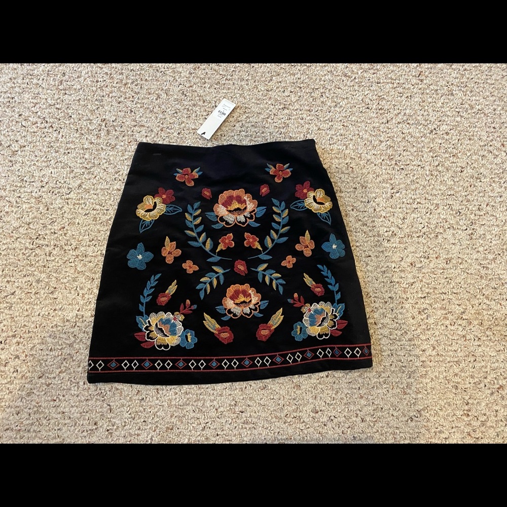 Francesca’s Embroidered Skirt